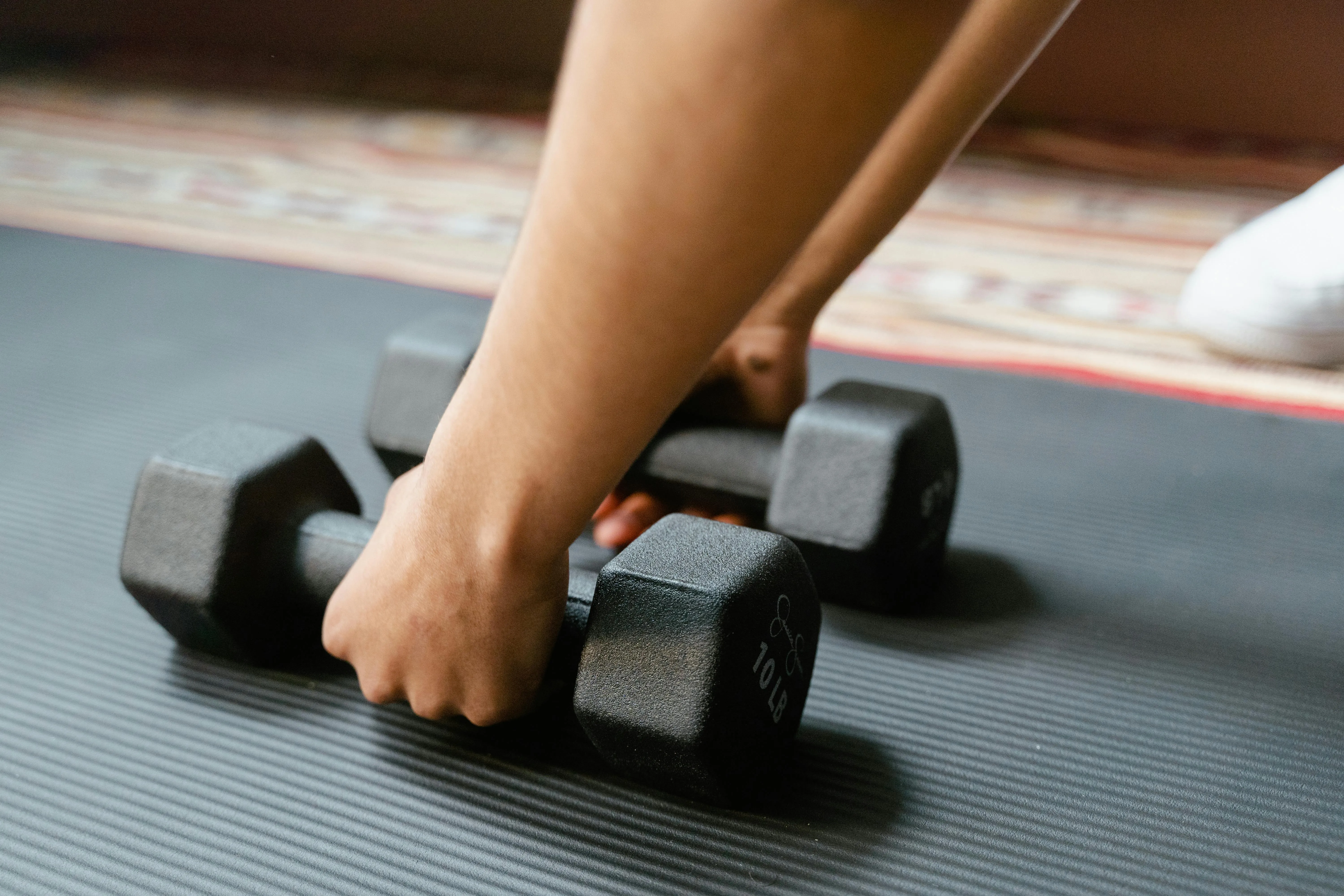 Haltères alignés en salle de musculation - matériel de base pour le renforcement musculaire